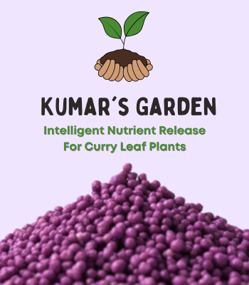Curry Leaf Plants Fertilizer