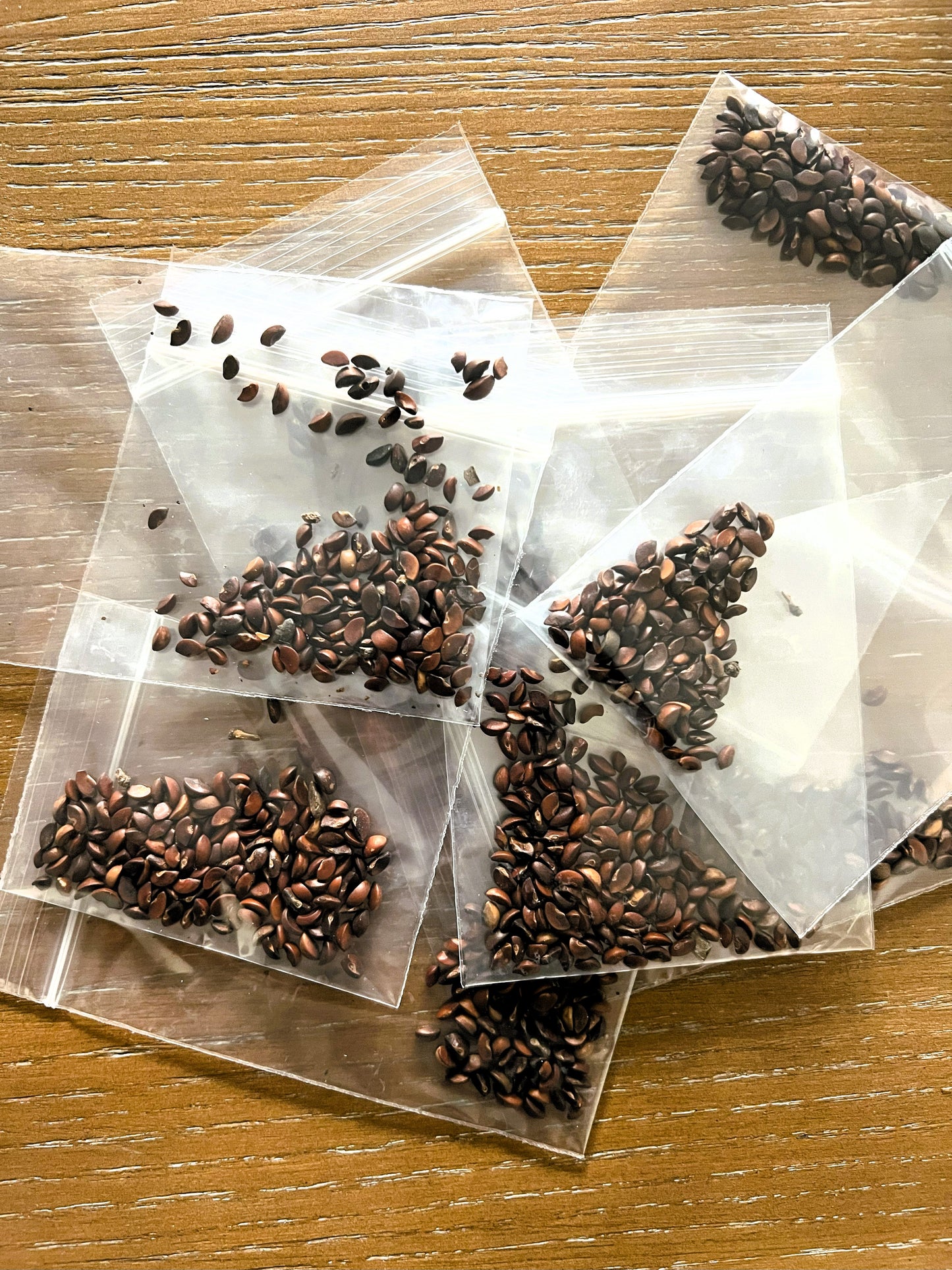 Gooseberry Seeds