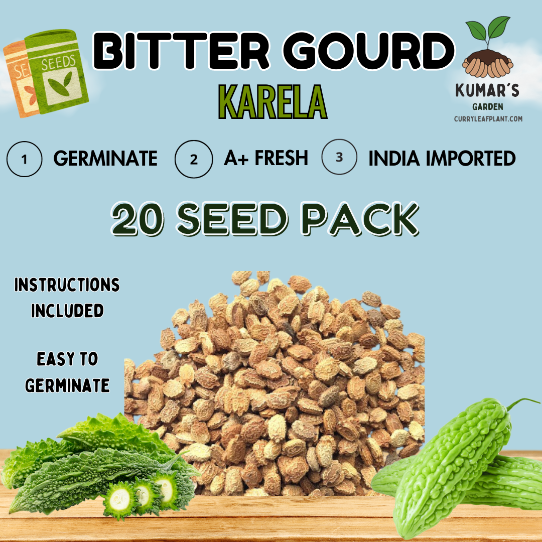 Bitter Gourd (Indian Karela) 20 Seed Packet