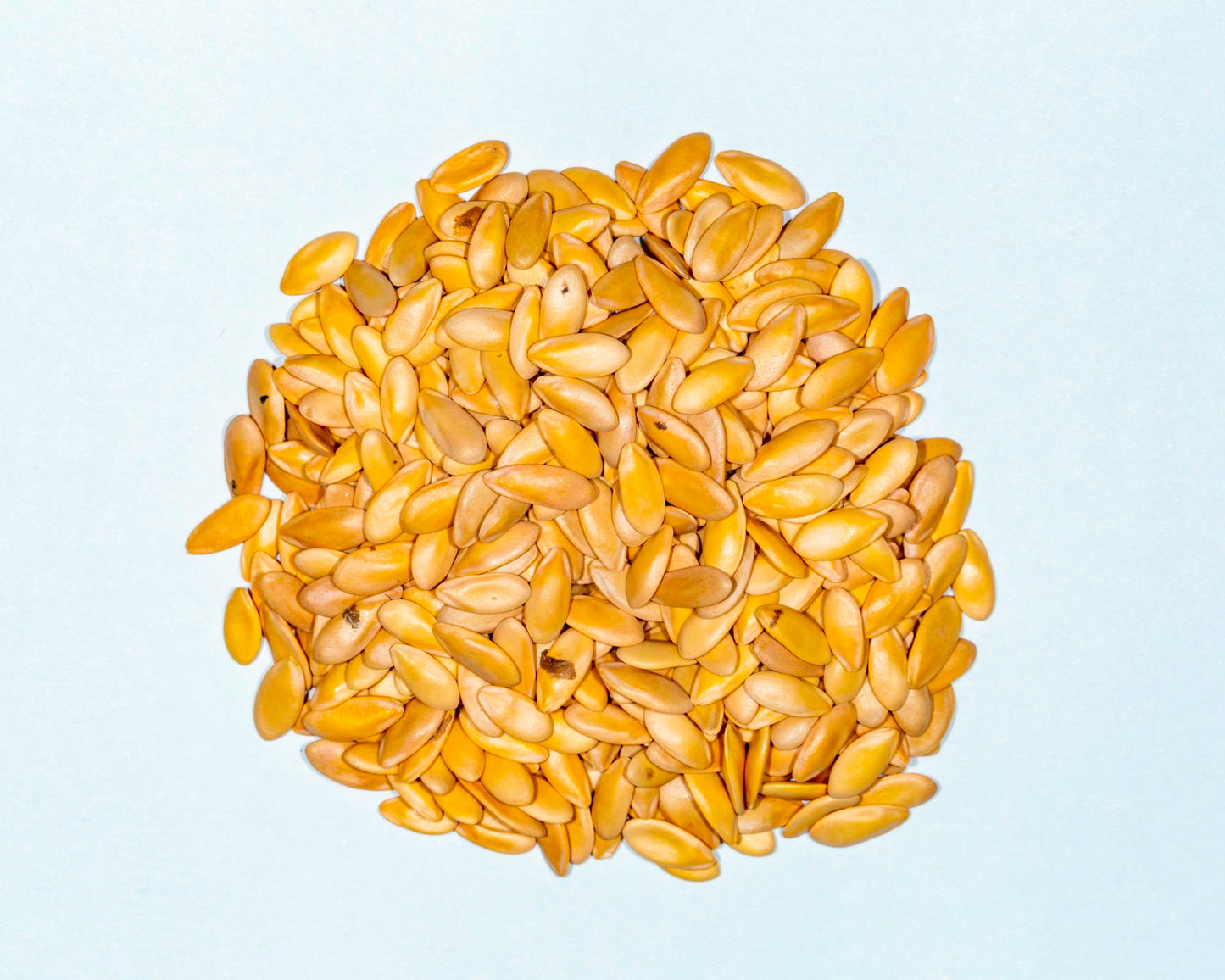 Kajari Melon (Indian Musk Melon) 100 Seed Packet