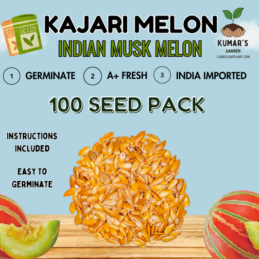 Beginner's Guide: Growing Kajari Melon Seeds