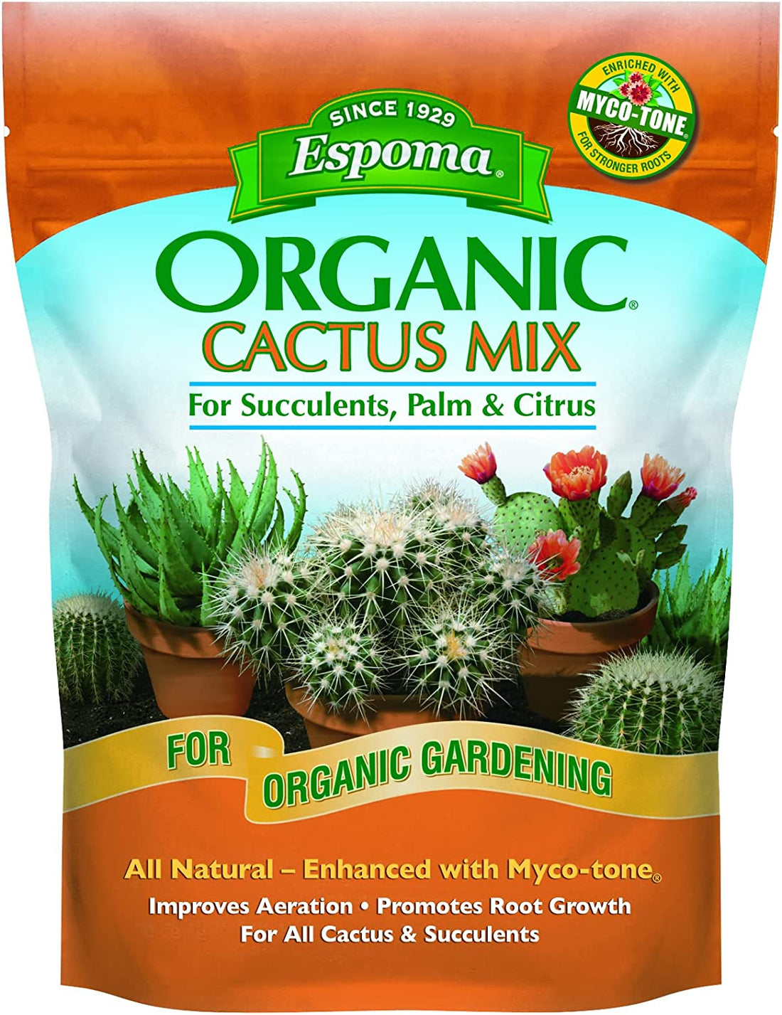 Best Soil for Curry Leaf Plants