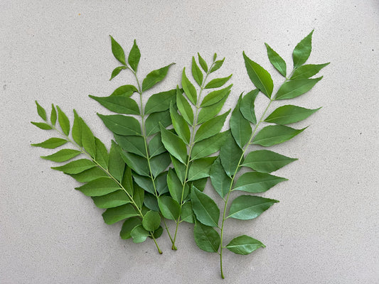 How to Harvest Curry Leaves Without Stripping Your Plant
