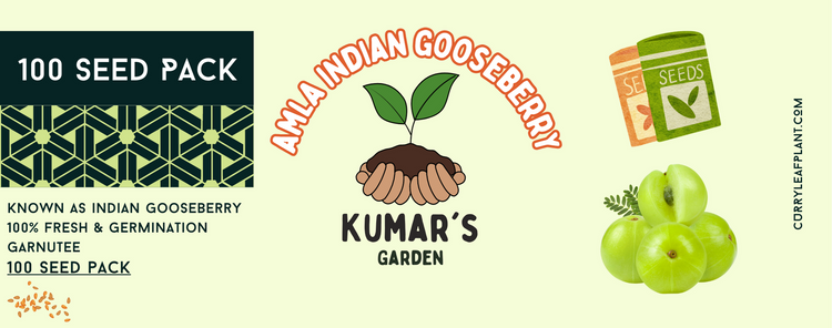 Simple Guide on How to Grow Amla Seeds