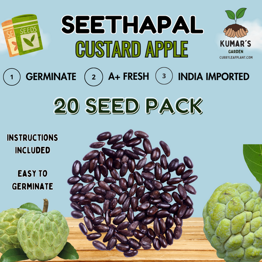 Grow Seethaphal Apples from Seeds: Quick Simple Guide