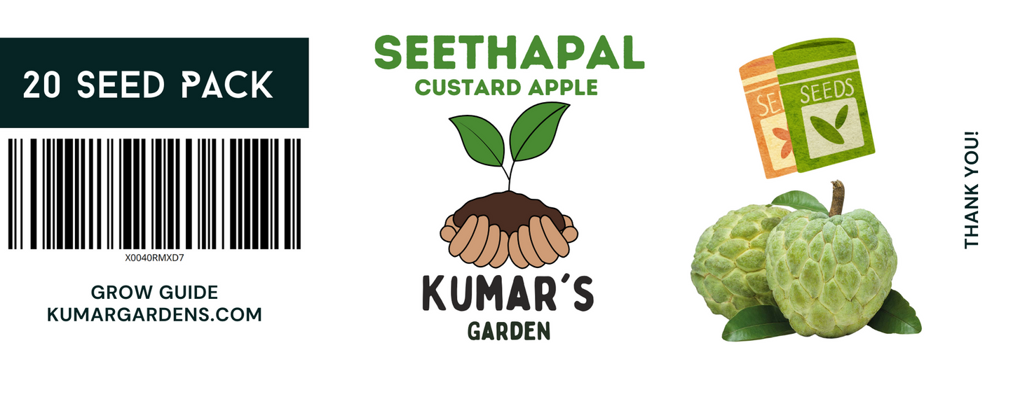 Sitaphal (Indian Custard Apple) 20 Seed Packet