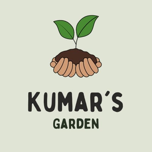 Bottle Gourd (Lauki/Sorakaya) Indian 25 Seed Packet by Kumar's Garden