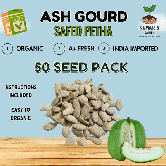 Ash Gourd (Safed Petha) 50 Seed Packet by Kumar's Garden
