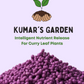 Curry Leaf Plants Fertilizer