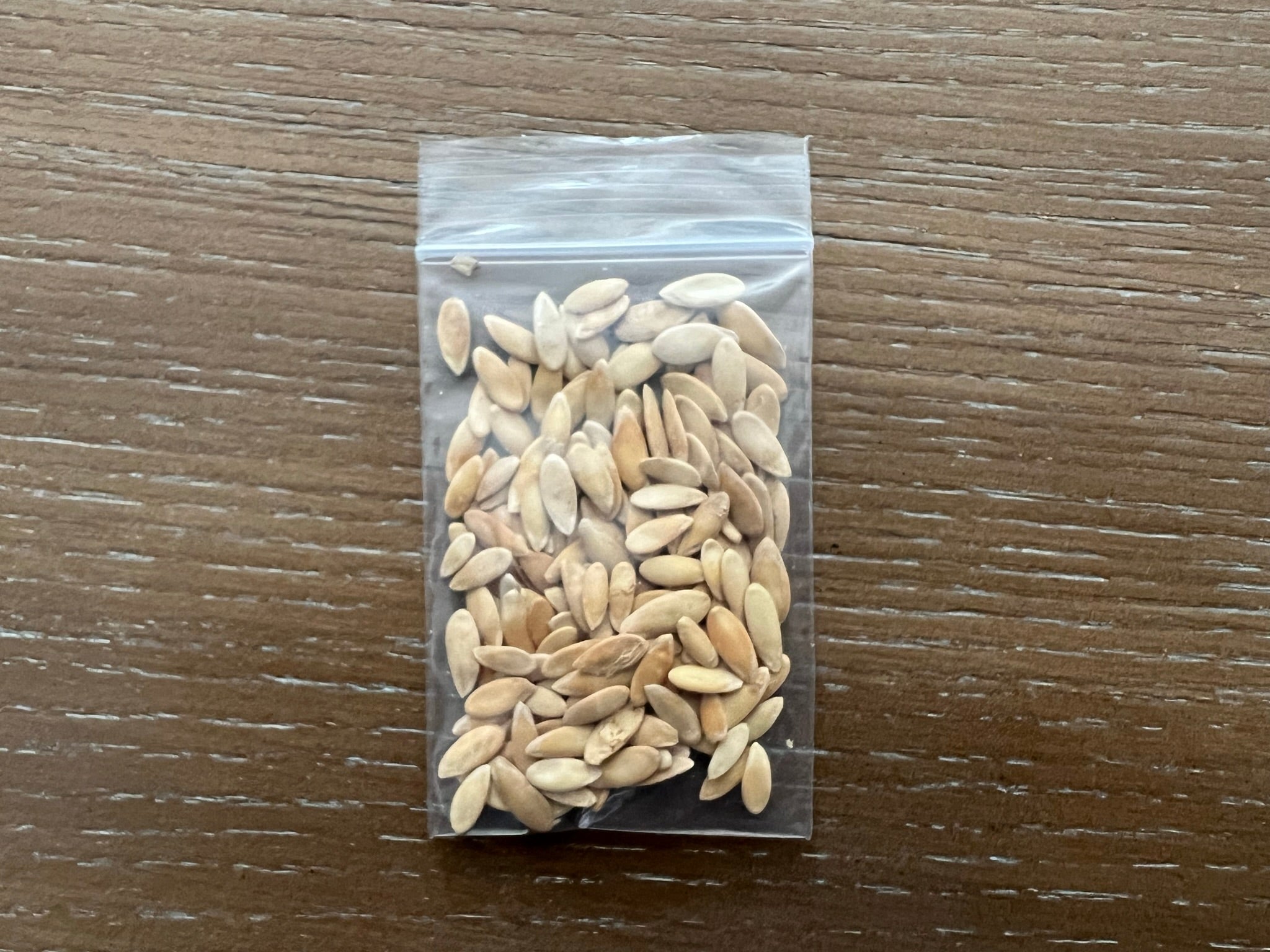 Kajari Melon (Indian Musk Melon) 100 Seed Packet