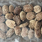 Bitter Gourd (Indian Karela) 20 Seed Packet