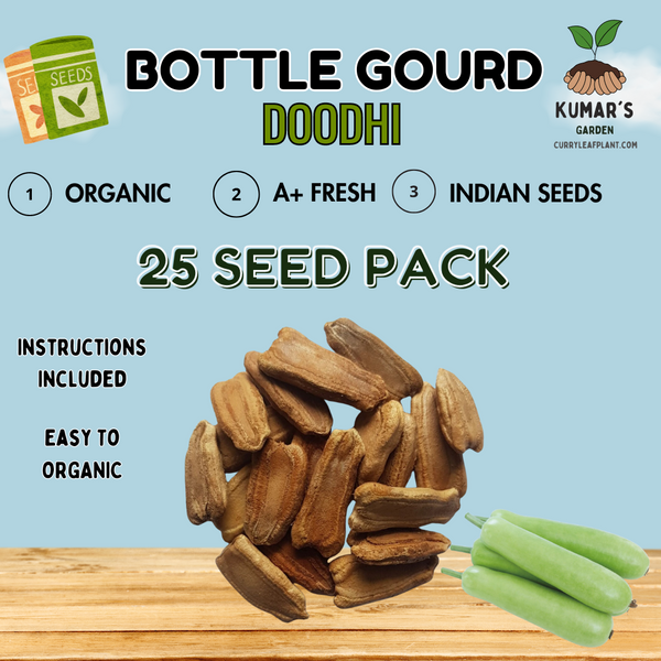 Bottle Gourd (Lauki/Sorakaya) Indian 25 Seed Packet by Kumar's Garden