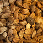 Bitter Gourd (Indian Karela) 20 Seed Packet