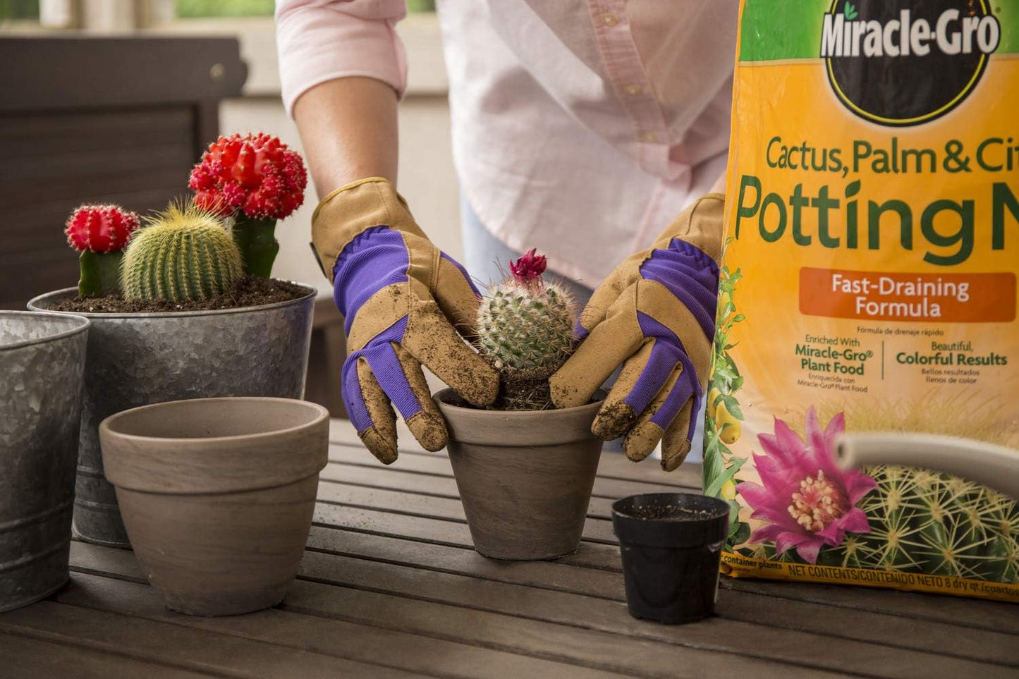 Miracle-Gro Cactus, Palm & Citrus Soil - Curry Leaf Plant 8 qt.